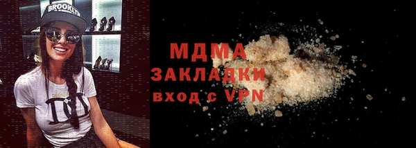 индика Дмитриев