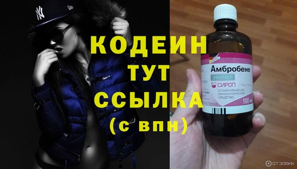молекула духа Дмитровск