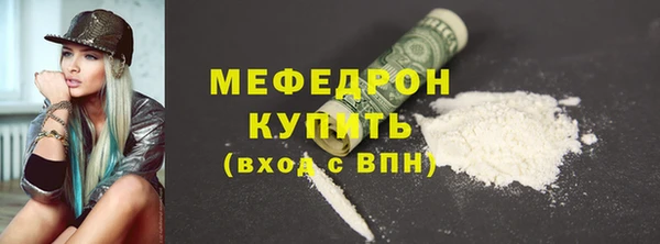 индика Дмитриев