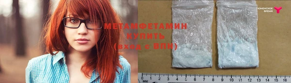 индика Дмитриев