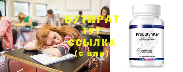 индика Дмитриев