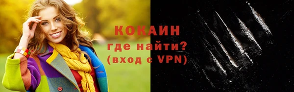 индика Дмитриев