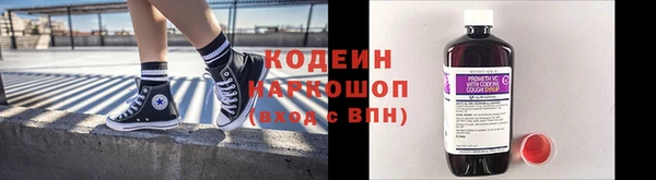 молекула духа Дмитровск
