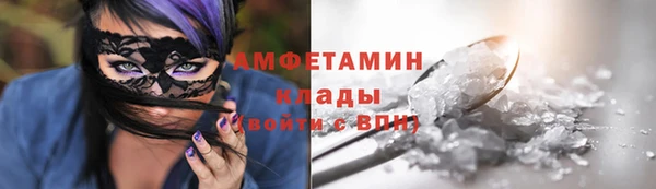 индика Дмитриев
