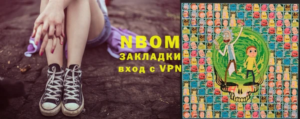 индика Дмитриев