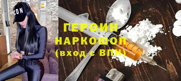 индика Дмитриев