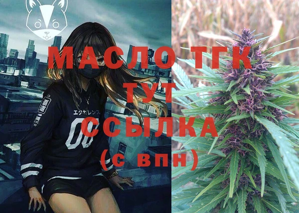 индика Дмитриев