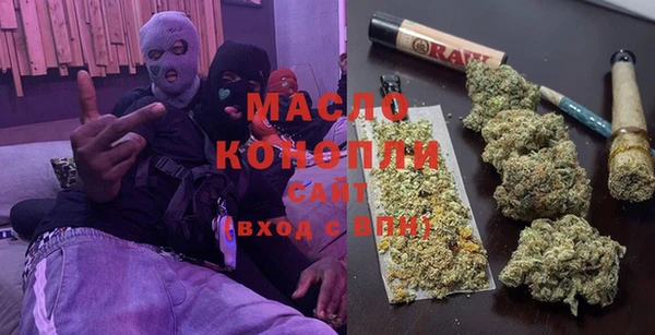 индика Дмитриев