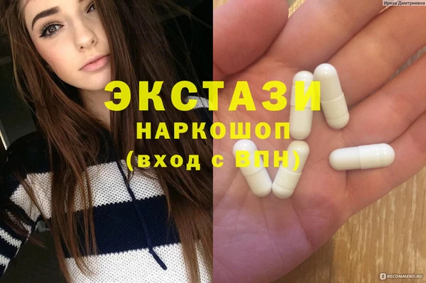 индика Дмитриев