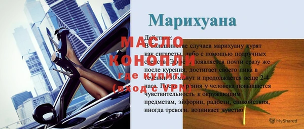 индика Дмитриев