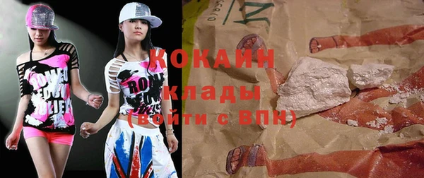 тгк Дмитров