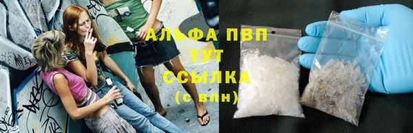 тгк Дмитров