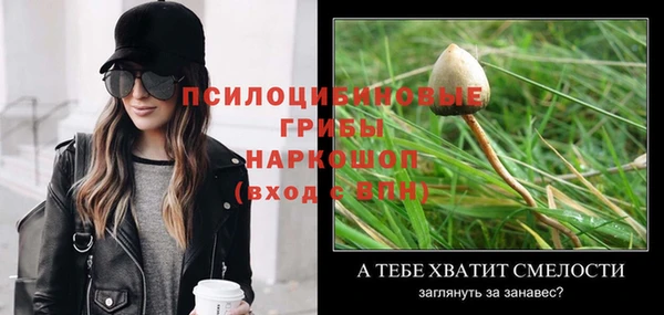 молекула духа Дмитровск