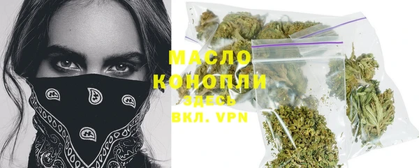 индика Дмитриев