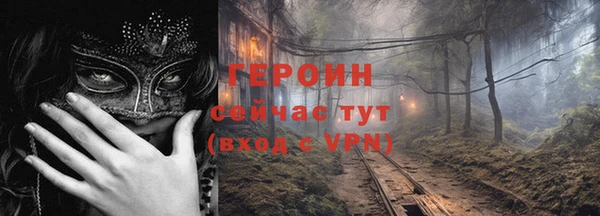 индика Дмитриев