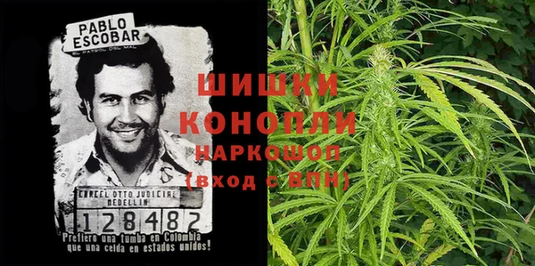 индика Дмитриев