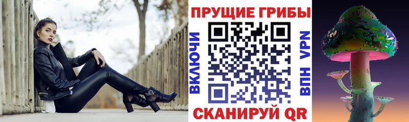 Купить  Сорск  Галлюциногенные грибы GOLDEN TEACHER 
